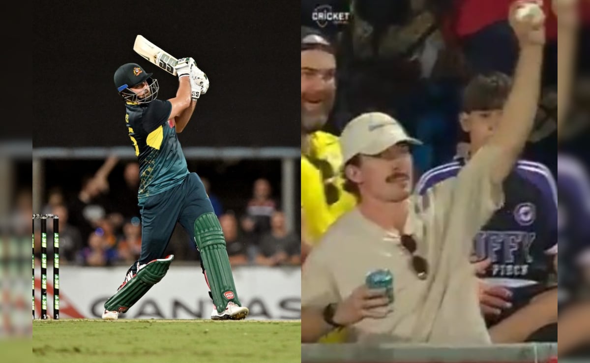Watch: Fan Grabs Best Catch Of The Year While Having Two Vodka Cans In Other Hand