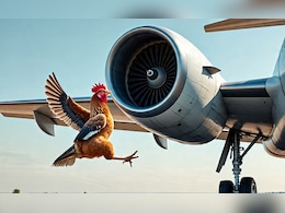 प्लेन के इंजन पर क्यों फेंके जाते हैं जिंदा मुर्गे, जानें किस चीज की होती है टेस्टिंग