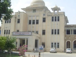 Dog Seen Carrying Baby&#039;s Head At Hospital In Punjab, Probe Ordered