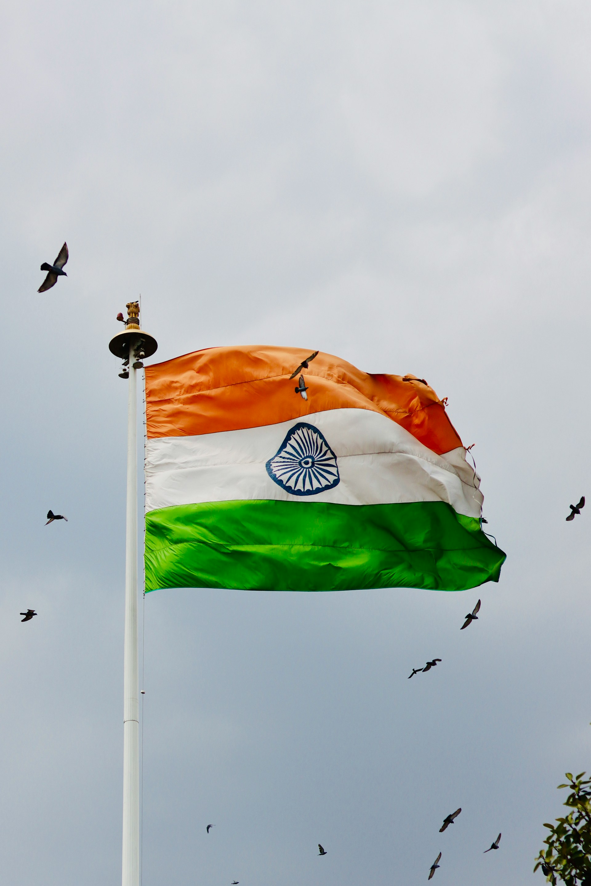 Independence Day 2026: Why Do We Celebrate Independence Day On August 15
