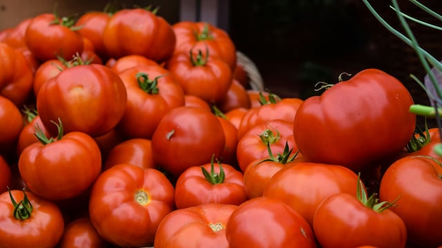 While tomatoes are nutritional powerhouses, your body's reaction to them is unique
