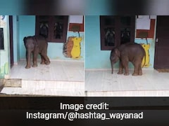 Watch: Cute Baby Elephant Visits School In Kerala, Internet Says 