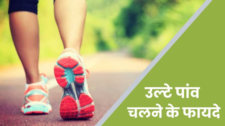 सीधे नहीं उल्टे पांव चलना क्यों है हेल्दी? जानिए उल्टे कदम से सीधी सेहत के जबरदस्त फायदे सीधे नहीं उल्टे पांव चलना क्यों है हेल्दी? जानिए उल्टे कदम से सीधी सेहत के जबरदस्त फायदे