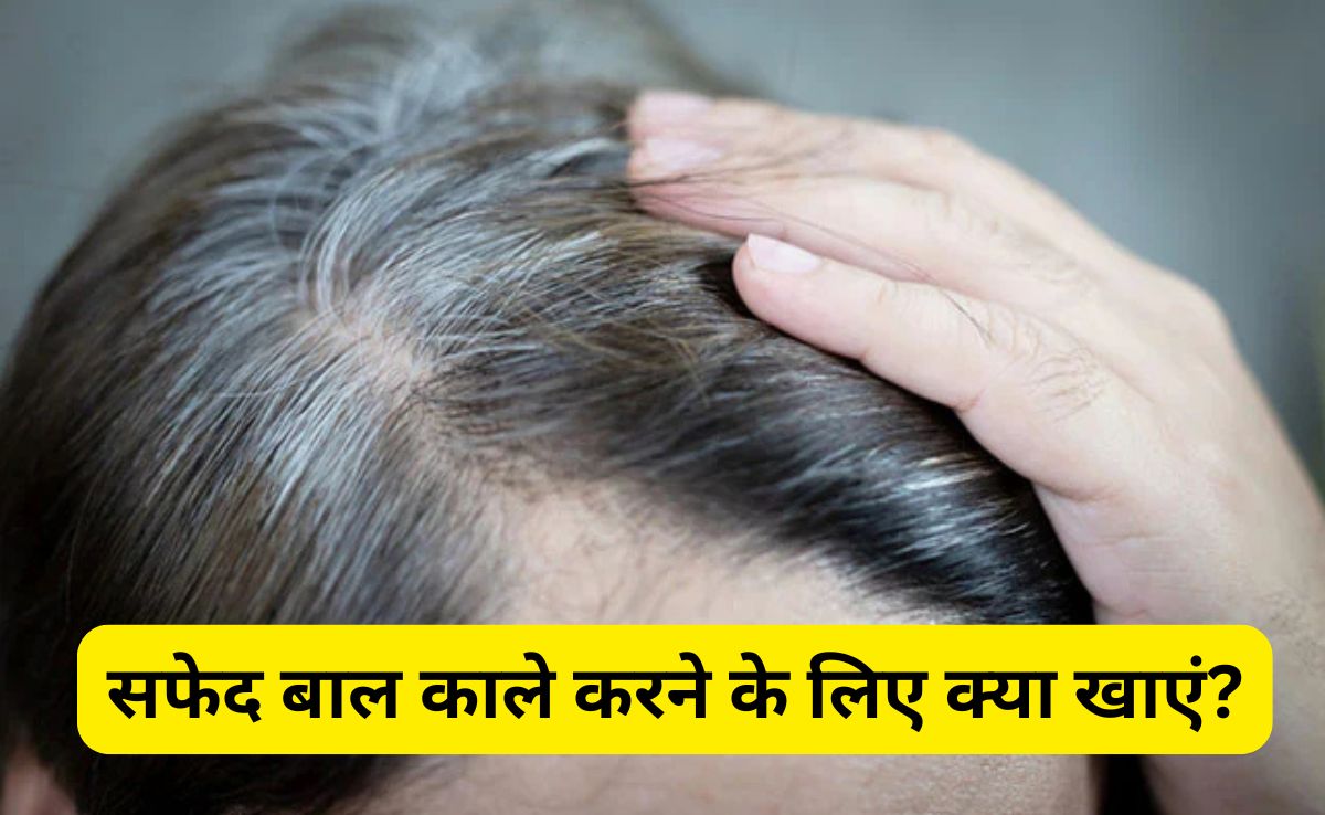 इक्के-दुक्के बाल दिखने लगे हैं सफेद तो आज से ही खाना शुरू कर दीजिए ये 3 चीजें, डॉक्टर ने कहा White Hair हो जाएंगे ब्लैक