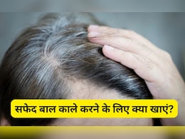 इक्के-दुक्के बाल दिखने लगे हैं सफेद तो आज से ही खाना शुरू कर दीजिए ये 3 चीजें, डॉक्टर ने कहा White Hair हो जाएंगे ब्लैक इक्के-दुक्के बाल दिखने लगे हैं सफेद तो आज से ही खाना शुरू कर दीजिए ये 3 चीजें, डॉक्टर ने कहा White Hair हो जाएंगे ब्लैक