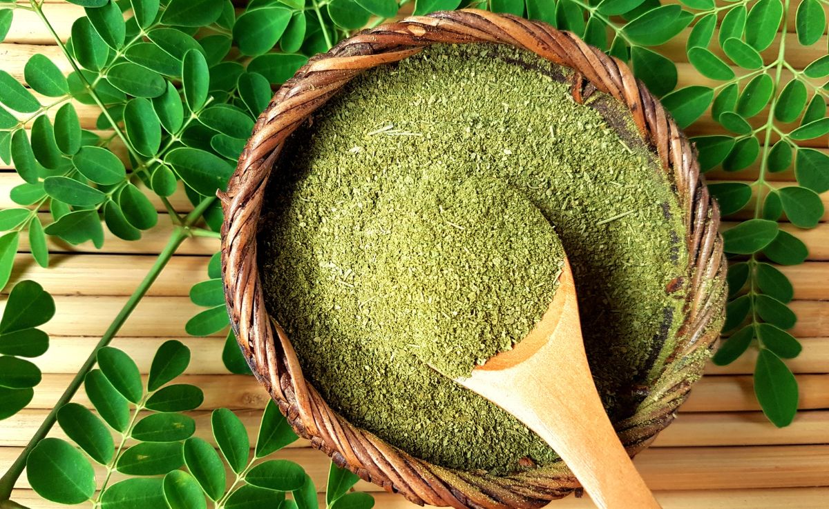 Some studies suggest that moringa can help lower blood sugar levels