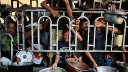 WHO Chief Urges Israel To Stop "Catastrophe" Of People Starving To Death In Gaza