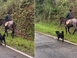 घोड़े पर सवार होकर स्कूल जाते हुए बच्चे का Video वायरल, पीछे-पीछे फॉलो करता दिखा कुत्ता, लोगों ने बताया- Cool घोड़े पर सवार होकर स्कूल जाते हुए बच्चे का Video वायरल, पीछे-पीछे फॉलो करता दिखा कुत्ता, लोगों ने बताया- Cool