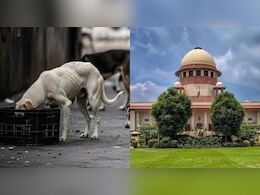 आवारा कुत्तों पर सुप्रीम सुनवाई:  कोर्ट ने फैसला रखा सुरक्षित, पढ़ें, क्या-क्या दी गई दलीलें आवारा कुत्तों पर सुप्रीम सुनवाई:  कोर्ट ने फैसला रखा सुरक्षित, पढ़ें, क्या-क्या दी गई दलीलें