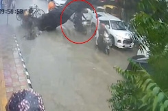 Video: Massive Tree Uprooted, Crashes Onto 2 Bikers In Delhi Rain Chaos Video: Massive Tree Uprooted, Crashes Onto 2 Bikers In Delhi Rain Chaos