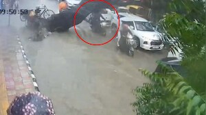 Video: Massive Tree Uprooted, Crashes Onto 2 Bikers In Delhi Rain Chaos