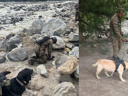 राही, जून , सारा... हर्षिल और धराली में रेस्क्यू के 'फरिश्तों' पर टिकी सबकी आस, पढ़ें क्यों है ये इतने खास राही, जून , सारा... हर्षिल और धराली में रेस्क्यू के 'फरिश्तों' पर टिकी सबकी आस, पढ़ें क्यों है ये इतने खास