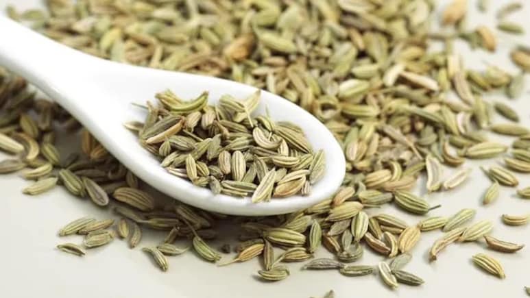 सौंफ: छोटे से बीज में छुपे सेहत के बड़े राज, जानिए क्या कहता है विज्ञान