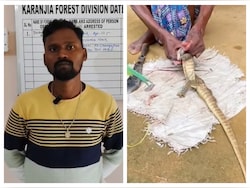 Odisha Man Cooks Rare Lizard, Posts Online, Forest Officials Take Action