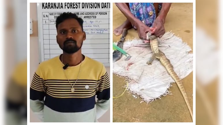Odisha Man Cooks Rare Lizard, Posts Online, Forest Officials Take Action