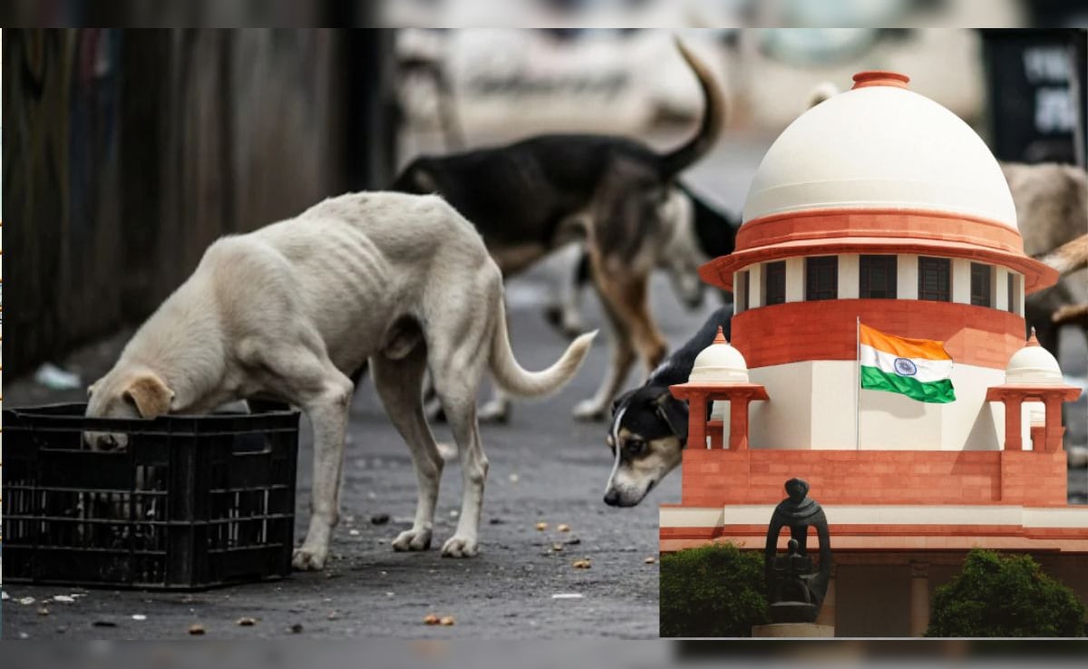Latest and Breaking News on NDTV Latest and Breaking News on NDTV