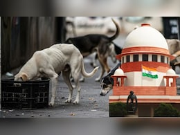 आपकी गली के कुत्ते शेल्टर होम नहीं भेजे जाएंगे, सुप्रीम कोर्ट का नया फैसला, लेकिन शर्त है... आपकी गली के कुत्ते शेल्टर होम नहीं भेजे जाएंगे, सुप्रीम कोर्ट का नया फैसला, लेकिन शर्त है...