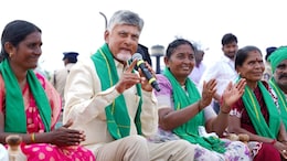 'US Tariffs Will Hurt Andhra Aqua Farmers, We Will Help Them': Chandrababu Naidu
