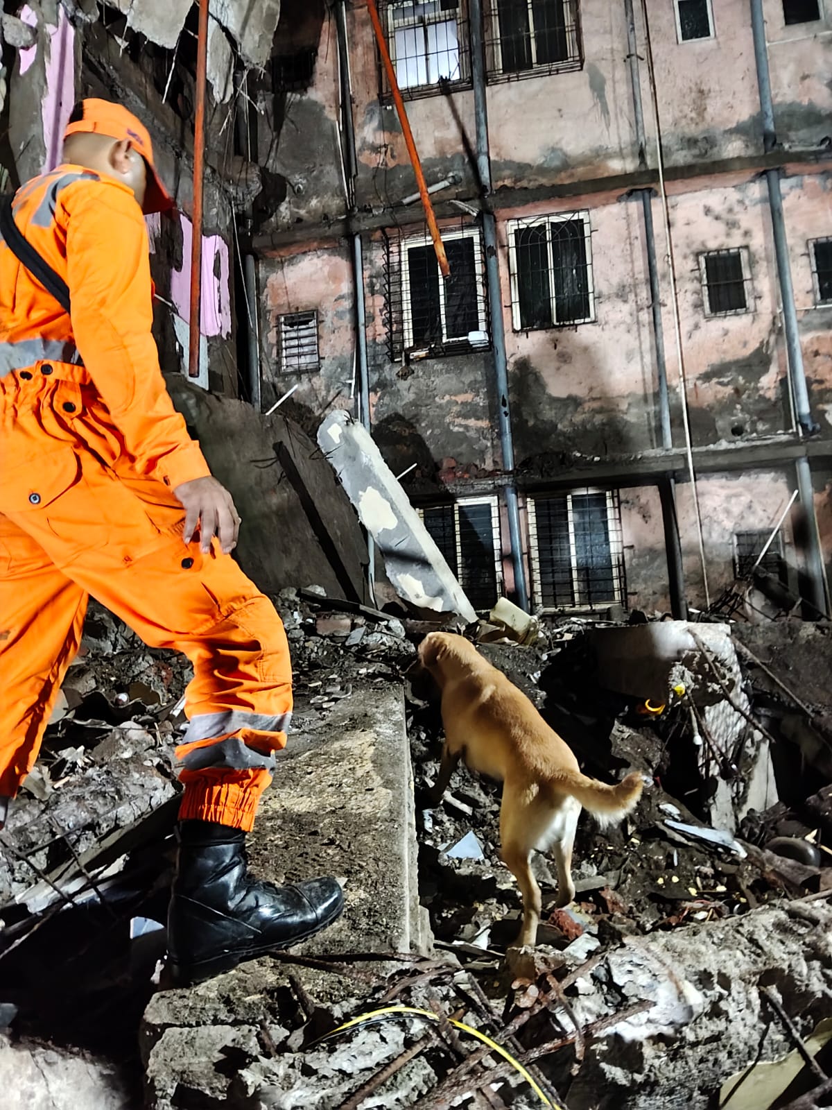 Toddler Among 2 Killed In Building Collapse In Maharashtra's Palghar
