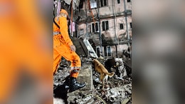 Toddler Among 2 Killed In Building Collapse In Maharashtra's Palghar
