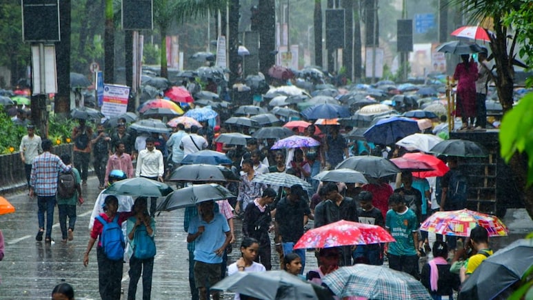 Mumbai Rain News: शाळा, कॉलेजपाठोपाठ खासगी कार्यालयांसाठीही आदेश निघाला, पावसामुळे सरकारचा मोठा निर्णय Mumbai Rain News: शाळा, कॉलेजपाठोपाठ खासगी कार्यालयांसाठीही आदेश निघाला, पावसामुळे सरकारचा मोठा निर्णय