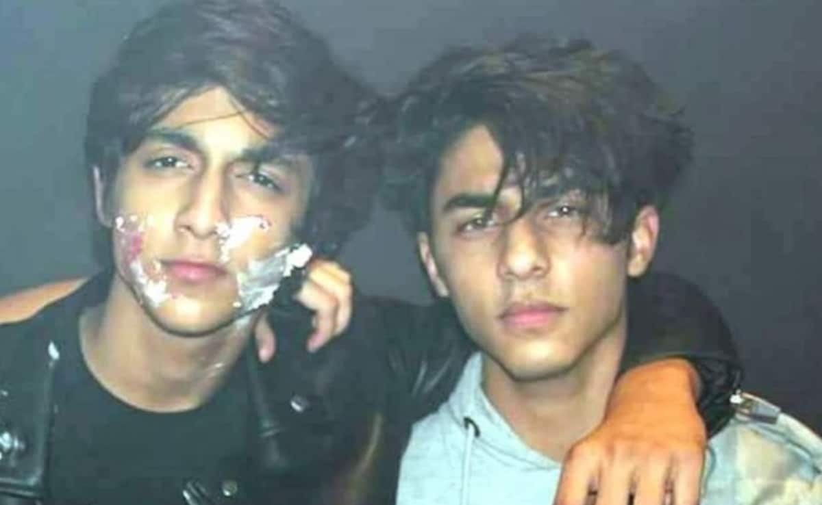 Reddit Says "Nepo Kids" Ahaan Panday And Aryan Khan Can Be Future Of Bollywood. Here's Why