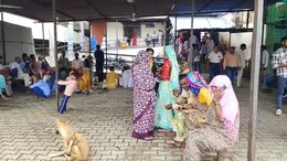 राजस्थान में मौसमी बीमारियों का कहर, भरतपुर के RBM अस्पताल में रोज पहुंच रहे 2500 मरीज