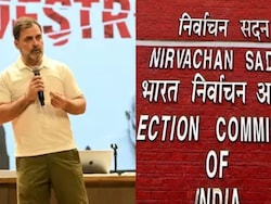 &quot;Rahul Gandhi Confused...&quot;: &#039;80-Member House&#039; Owner Rebuts Vote Fraud Claim