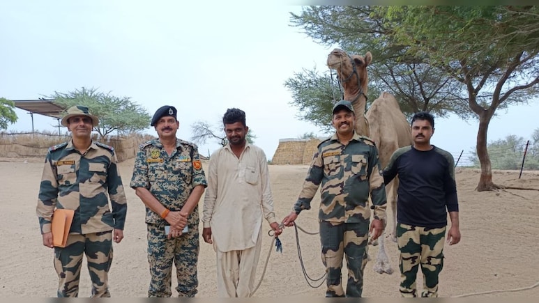 BSF से र‍िटायर हुए 59 ऊंट, अब ग्रामीण करेंगे देखभाल; देश की रखवाली के ल‍िए 10 साल बॉर्डर पर रहे तैनात