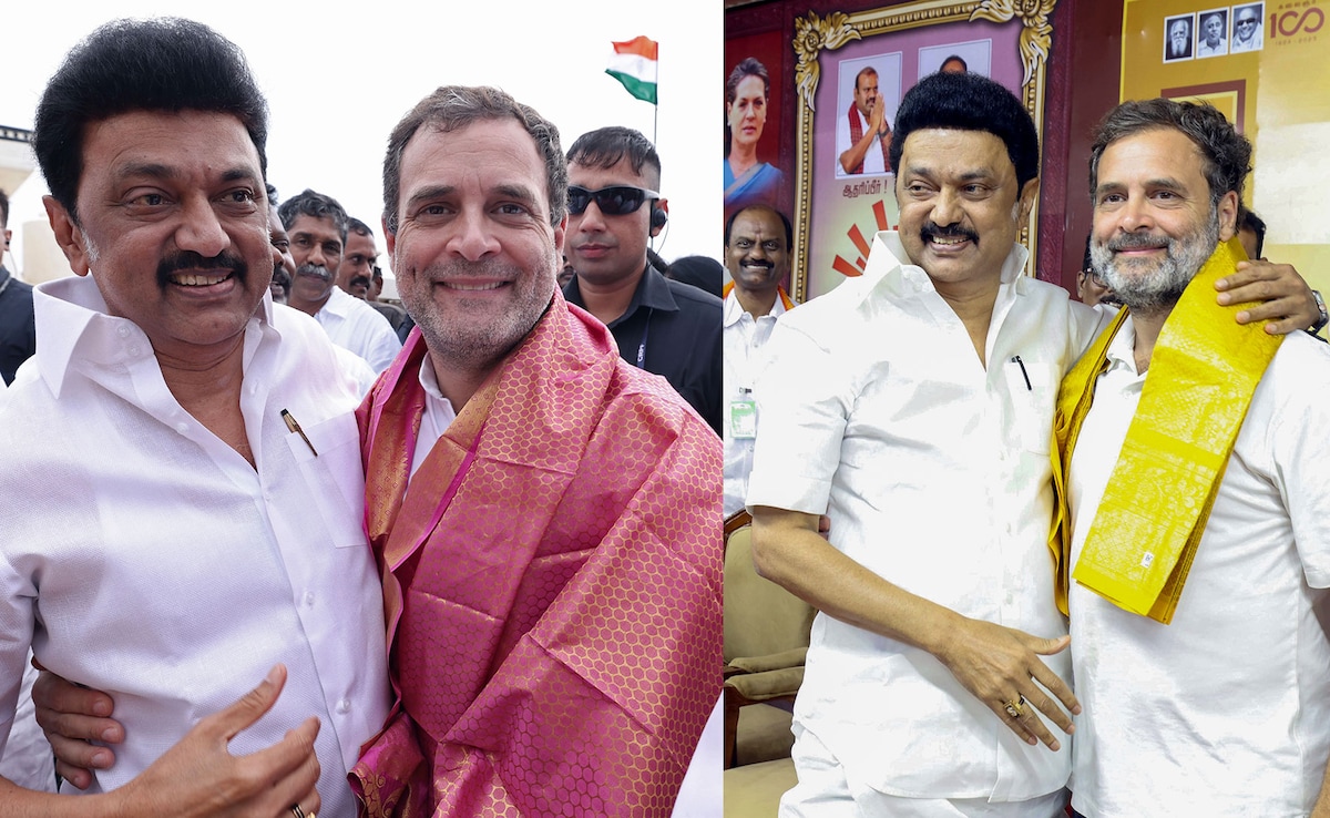 "Backstabbers, Leeches": DMK Rips Into Congress Over Support To Vijay