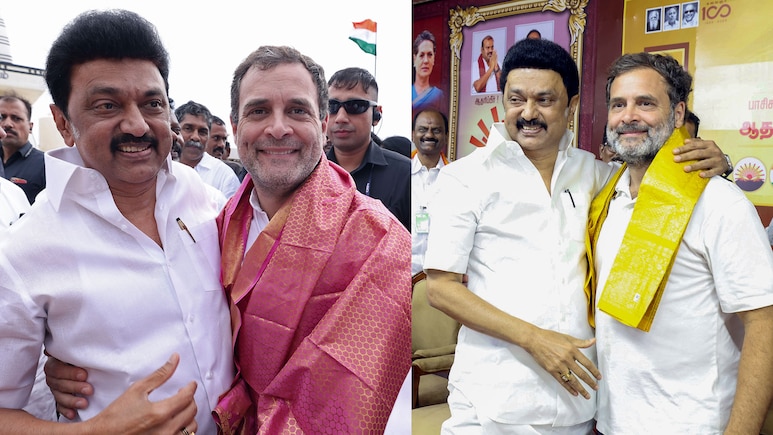 "Paid High Price For Loyalty": Upset DMK Slams Congress Over Vijay Tie-Up