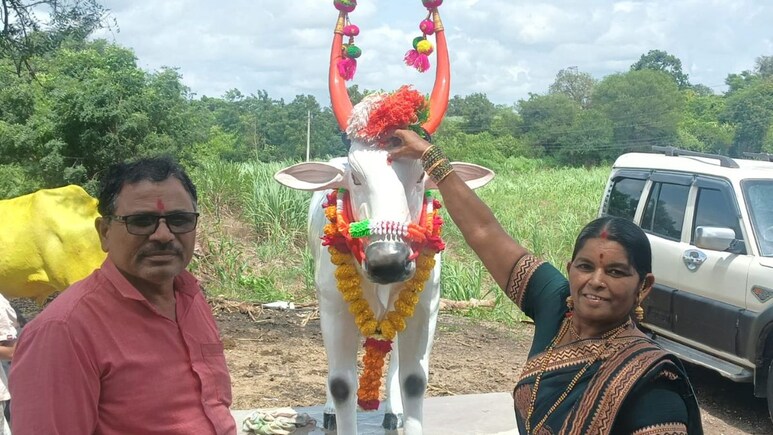 Poḷa special! जीव ओतून कामाला साथ दिली, आता मृत्यूनंतरही त्याचीच पूजा! शेतकऱ्याचा हा आदर्श पाहिलाच पाहिजे! Poḷa special! जीव ओतून कामाला साथ दिली, आता मृत्यूनंतरही त्याचीच पूजा! शेतकऱ्याचा हा आदर्श पाहिलाच पाहिजे!