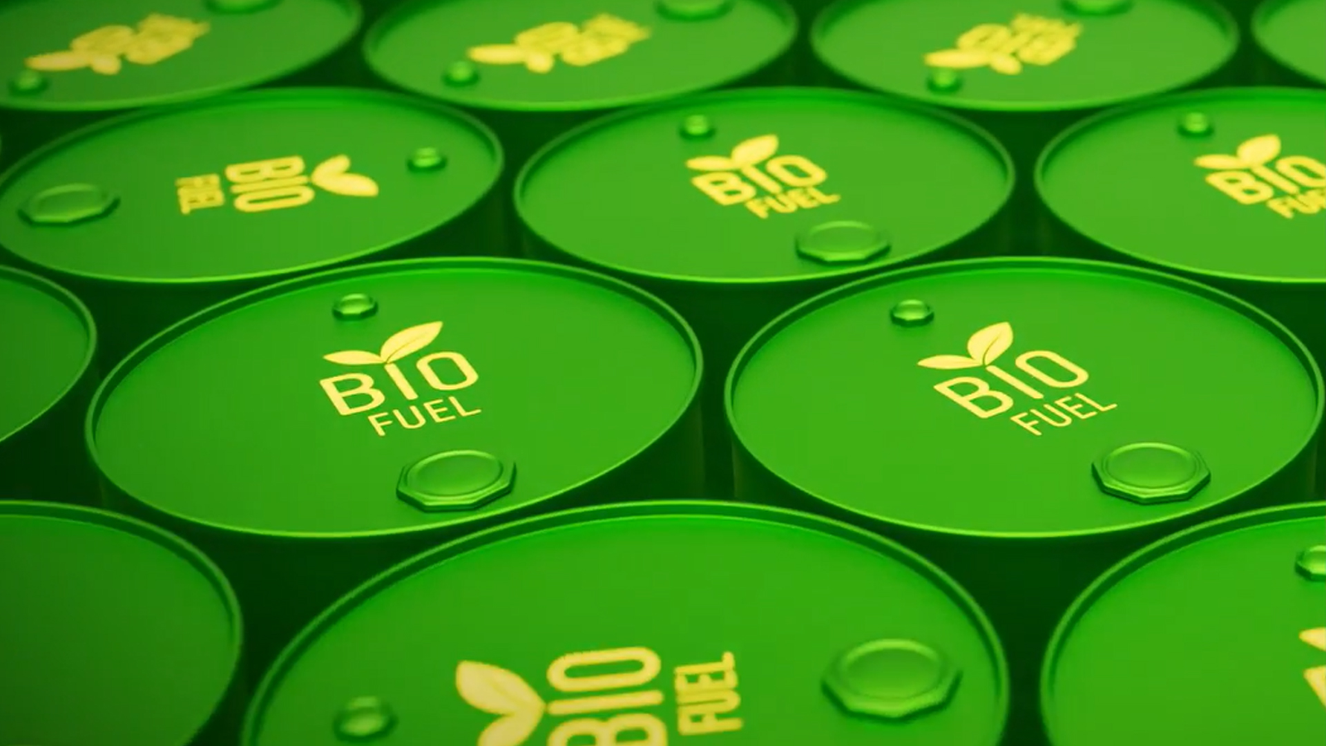 Building A Greener Future With Biofuels