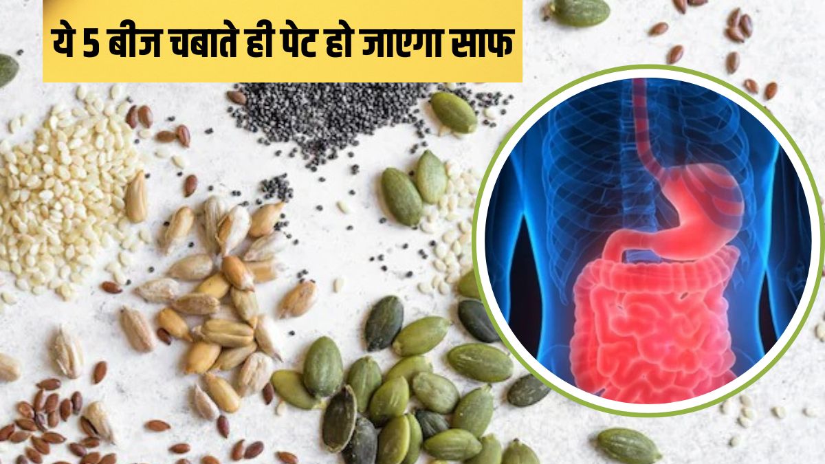 लंच के बाद अगर चबाएंगे ये 5 बीज, कुर्सी पर बैठे-बैठे ही पच जाएगा खाना | Best Seeds For Digestion