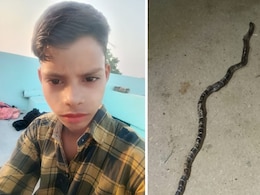 धौलपुर में 14 साल के बच्चे को कॉमन क्रेट सांप ने काटा, घर वालों ने कराया झाड़-फूंक; अस्पताल जाने में हुई देर  धौलपुर में 14 साल के बच्चे को कॉमन क्रेट सांप ने काटा, घर वालों ने कराया झाड़-फूंक; अस्पताल जाने में हुई देर