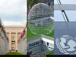 How To Get A Job At UN Bodies: A Step-By-Step Guide How To Get A Job At UN Bodies: A Step-By-Step Guide
