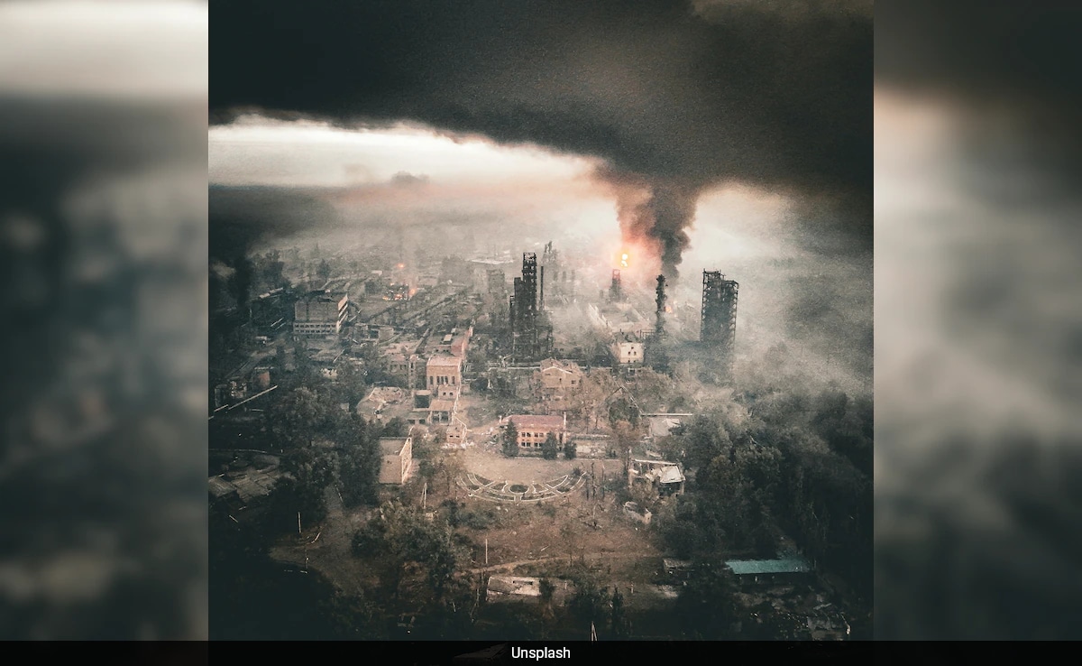 Human Extinction Could Be Imminent, Mouse Experiment Suggests