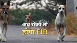 आवारा कुत्तों को लेकर राजस्थान हाई कोर्ट ने दिये कड़े आदेश, किसी पर भी दर्ज हो सकता है FIR