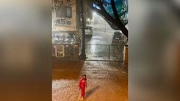 "Working At Risk": Internet Applauds Zomato Rider Battling Heavy Mumbai Rains