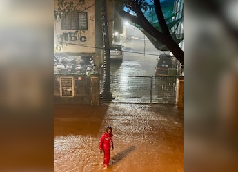 "Working At Risk": Internet Applauds Zomato Rider Battling Heavy Mumbai Rains