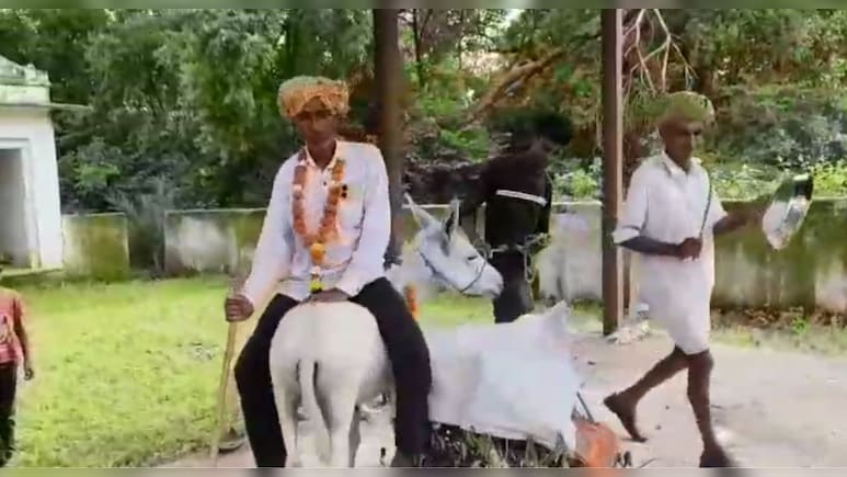 गधे को गुलाब जामुन ख‍िलाया और मुख‍िया को उल्‍टा बैठाकर श्‍मशान के 7 चक्‍कर लगवाए, राजस्‍थान में अनोखा टोटका
