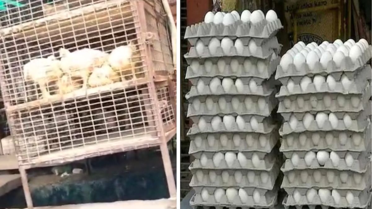 नवरात्रि में मीट बेचने वालों की खैर नहीं! इन शहरों में दुकान खोलने से पहले ये आदेश जरूर देख लें