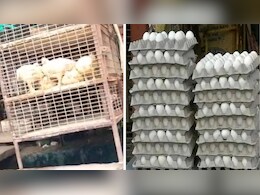 प्रतिबंध के बावजूद राजस्थान में खुली मांस-अंडे की दुकानें, सरकारी आदेश की दुकानदारों ने उड़ाई धज्जी प्रतिबंध के बावजूद राजस्थान में खुली मांस-अंडे की दुकानें, सरकारी आदेश की दुकानदारों ने उड़ाई धज्जी