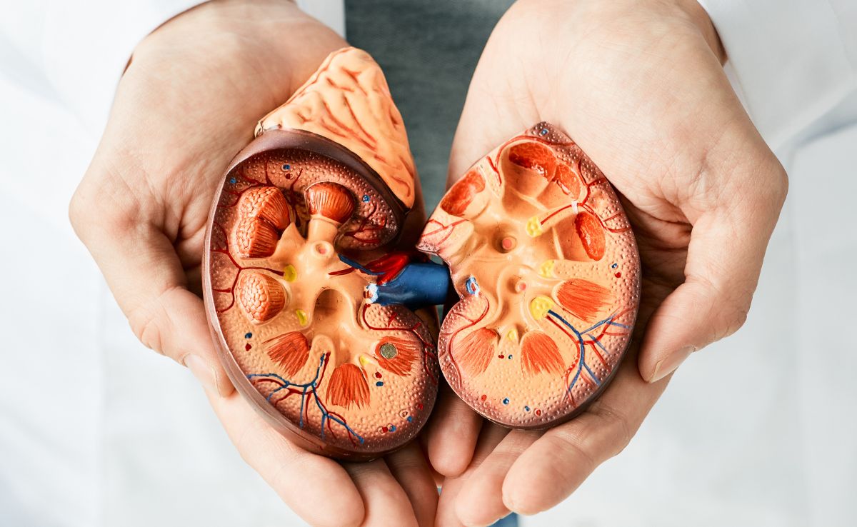 India's Chronic Kidney Disease Burden Soars To 138 Million, Second Highest Worldwide