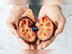 किडनी को रखना है हेल्दी तो आज से ही अपना लें ये 4 आदतें, कोसो दूर रहेंगी बीमारियां