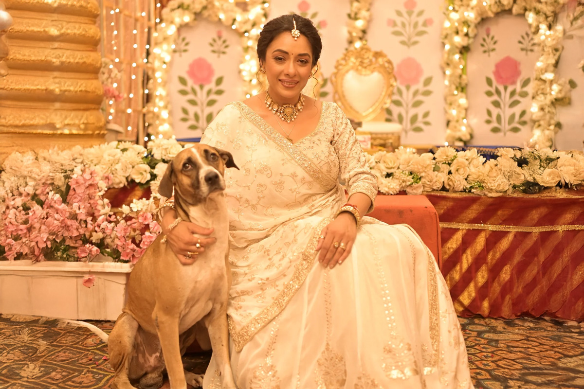 Rupali Ganguly,Rupali Ganguly Latest updates,Rupali Ganguly Instagram,Rupali ganguly  income,Rupali Ganguly Latest comment on supreme court judgment on dogs,trending story,viral news,Whosthat360