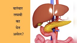 Frequent Urination Causes: रात्री वारंवार लघवीला उठावं लागतंय? झोपण्यापूर्वी दूध किंवा पाण्यात मिक्स करा या गोष्टी, मग पाहा कमाल