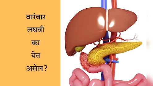 Frequent Urination Causes: रात्री वारंवार लघवीला उठावं लागतंय? झोपण्यापूर्वी दूध किंवा पाण्यात मिक्स करा या गोष्टी, मग पाहा कमाल