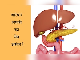 Frequent Urination Causes: रात्री वारंवार लघवीला उठावं लागतंय? झोपण्यापूर्वी दूध किंवा पाण्यात मिक्स करा या गोष्टी, मग पाहा कमाल Frequent Urination Causes: रात्री वारंवार लघवीला उठावं लागतंय? झोपण्यापूर्वी दूध किंवा पाण्यात मिक्स करा या गोष्टी, मग पाहा कमाल