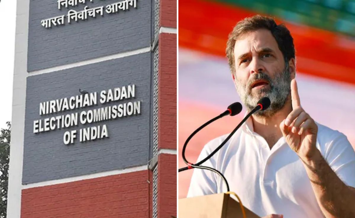 "Ignore Baseless Allegations": Poll Body On Rahul Gandhi's Voter Fraud Claim